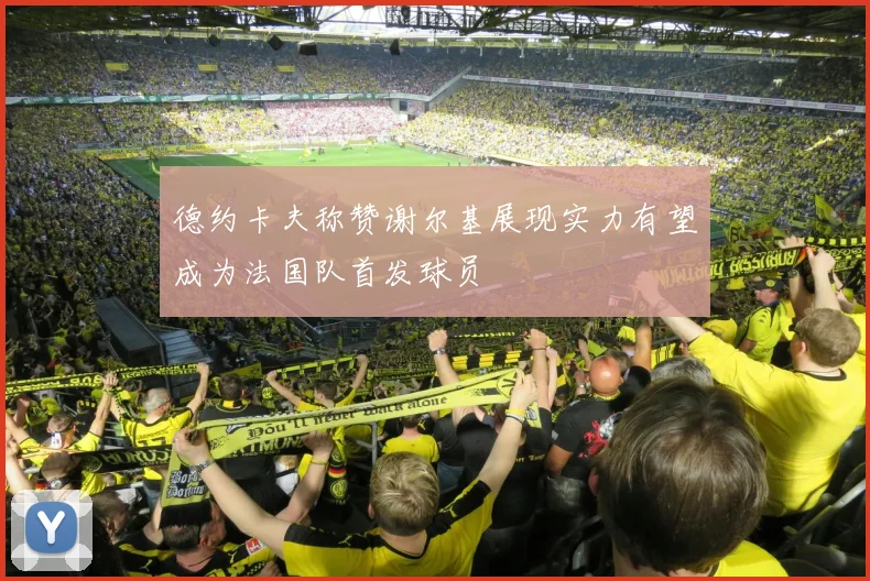德约卡夫称赞谢尔基展现实力有望成为法国队首发球员
